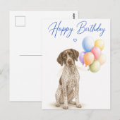 Deutscher Pointer Geburtstag Postkarte (Vorne/Hinten)