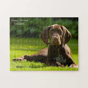 Deutscher Pointer Hund. Puzzle