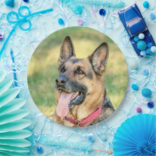 Deutscher Schäfer Pappteller (Party)