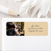 Deutscher Schäferhund (Insitu)