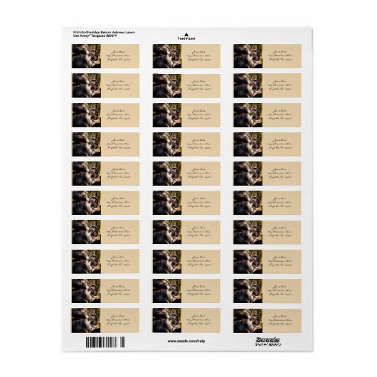 Deutscher Schäferhund (Vorne)