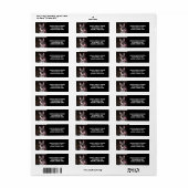 Deutscher Schäferhund (Vorne)