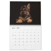 Deutscher Schäferhund 2021 Kalender. Kalender (Mär 2026)