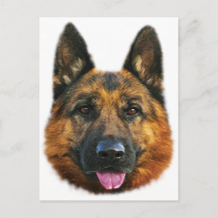 Deutscher Schäferhund Alsatian K-9 Hund Postkarte