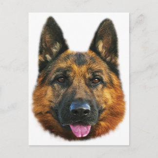 Deutscher Schäferhund Alsatian K-9 Hund Postkarte