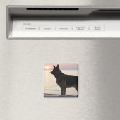 Deutscher Schäferhund auf Georgian Bay, Ontario, Magnet (In Situ (Geschirrspüler))