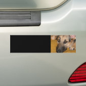 Deutscher Schäferhund-Autoaufkleber Autoaufkleber (Auf Auto)