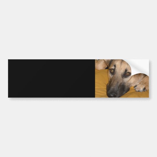 Deutscher Schäferhund-Autoaufkleber Autoaufkleber (Vorne)