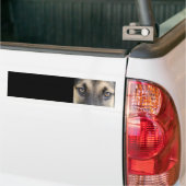 Deutscher Schäferhund-Autoaufkleber Autoaufkleber (Auf Lkw)