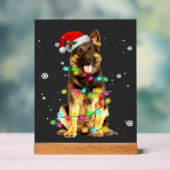 Deutscher Schäferhund Baum Weihnachtspullover Xmas Acrylschild (Neutral)