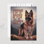 Deutscher Schäferhund bei Sonnenuntergang Postkarte (Vorne/Hinten)