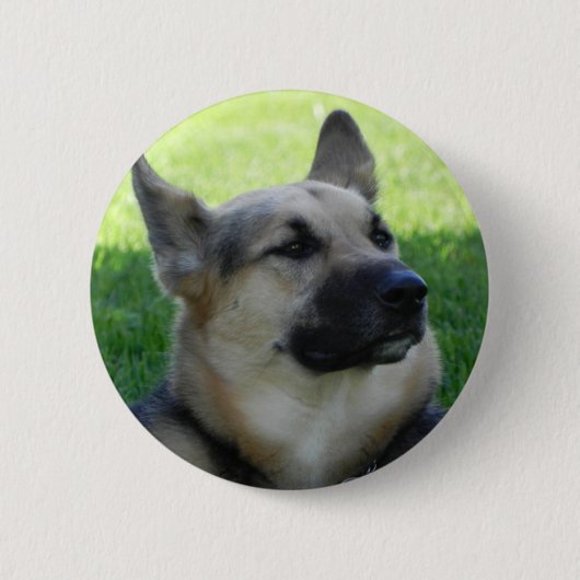 Deutscher Schäferhund Button (Vorderseite)