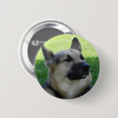 Deutscher Schäferhund Button (Vorne & Hinten)