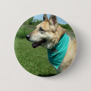 Deutscher Schäferhund Button