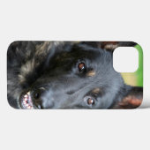Deutscher Schäferhund Case-Mate iPhone Hülle (Rückseite (Horizontal))