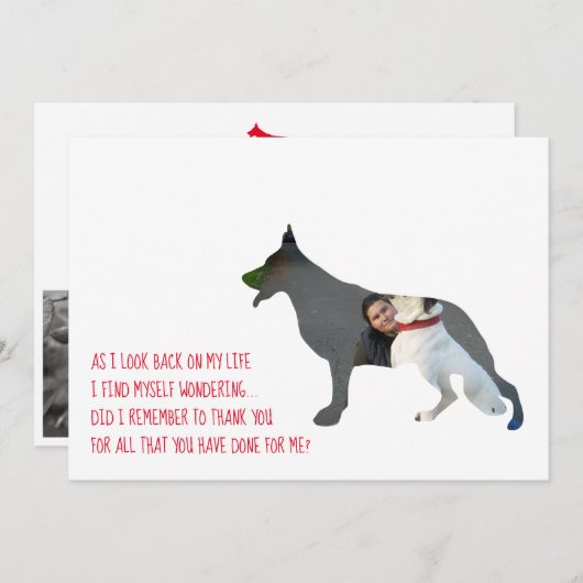 Deutscher Schäferhund Dankeskarte (Vorne/Hinten)