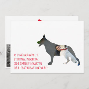 Deutscher Schäferhund Dankeskarte