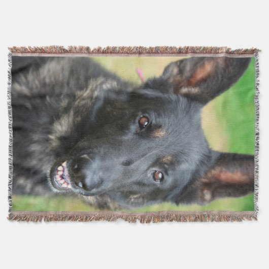 Deutscher Schäferhund Decke (Vorderseite)