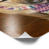 Deutscher Schäferhund Dog Black & Tan bedingungslo Fotodruck (Ecke)