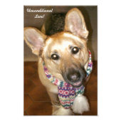 Deutscher Schäferhund Dog Black & Tan bedingungslo Fotodruck (Vorne)