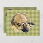 Deutscher Schäferhund Einladung (Vorne/Hinten)