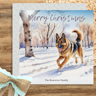 Deutscher Schäferhund Elsässer Schnee Weihnachten