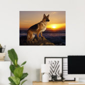 Deutscher Schäferhund, elsässisch, bei Sonnenunter Poster (Heimbüro)
