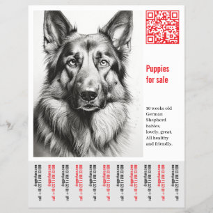 Deutscher Schäferhund Flyer