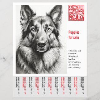 Deutscher Schäferhund Flyer
