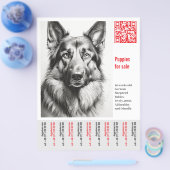 Deutscher Schäferhund Flyer (Einzeln)
