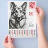 Deutscher Schäferhund Flyer (Hand)