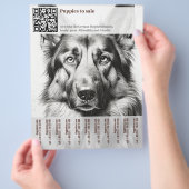 Deutscher Schäferhund Flyer (Hand)