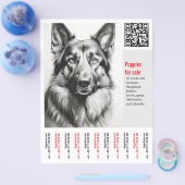 Deutscher Schäferhund Flyer (Einzeln)