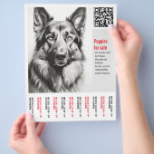 Deutscher Schäferhund Flyer (Hand)