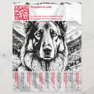 Deutscher Schäferhund Flyer