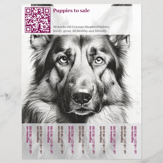 Deutscher Schäferhund Flyer (Vorne)