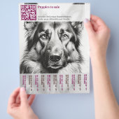 Deutscher Schäferhund Flyer (Hand)