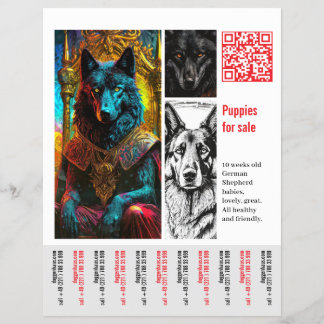 Deutscher Schäferhund Flyer