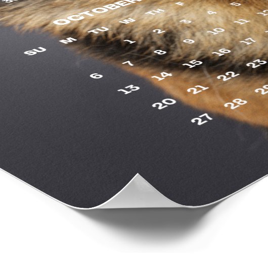 Deutscher Schäferhund-Foto 2024 Poster (Ecke)