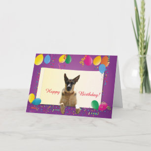 Deutscher Schäferhund Frohe Geburtstag Farbe Ballo Karte