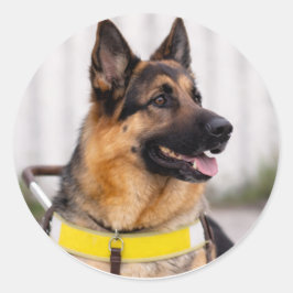 Deutscher Schäferhund Führhund Abschluss Umschlag Runder Aufkleber
