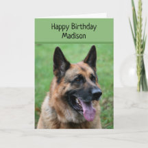Deutscher Schäferhund, glücklich zum Geburtstag, p