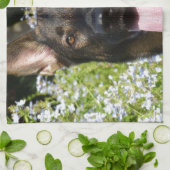 Deutscher Schäferhund Handtuch (Gefaltet)