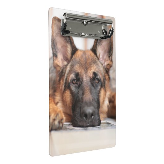 Deutscher Schäferhund/Hund-Foto Mini Klemmbrett (Schrägansicht)
