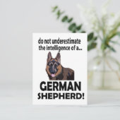Deutscher Schäferhund Hund Haustier Postkarte (Stehend Vorderseite)