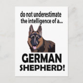 Deutscher Schäferhund Hund Haustier Postkarte (Vorderseite)