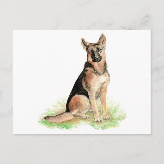 Deutscher Schäferhund, Hund, Haustier, Tier Postkarte (Vorderseite)