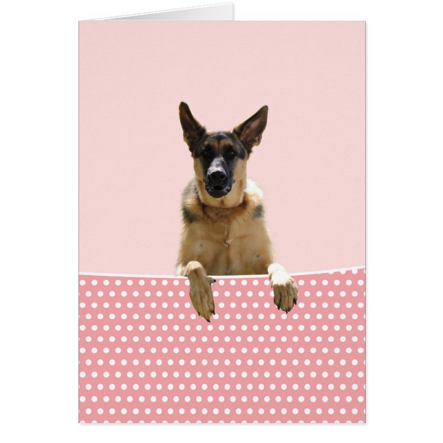 Deutscher Schäferhund Hund Pink Polka Dots (Vorne)