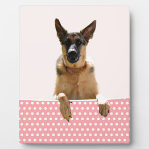 Deutscher Schäferhund Hund Pink Polka Dots Fotoplatte