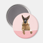 Deutscher Schäferhund Hund Pink Polka Dots Magnet (Vorderseite/Rückseite)